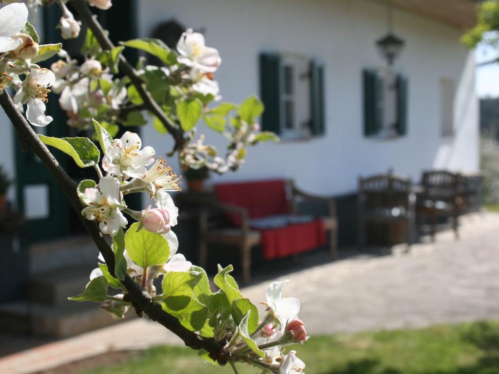 Apartmán Sonnenhaus Grandl Feldbach  Exteriér fotografie